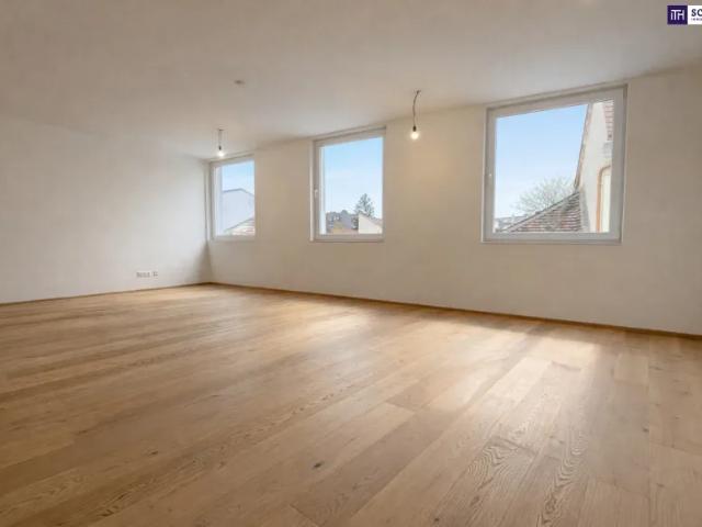 Wohnung kaufen in Katastralgemeinde Traiskirchen, Traiskirchen