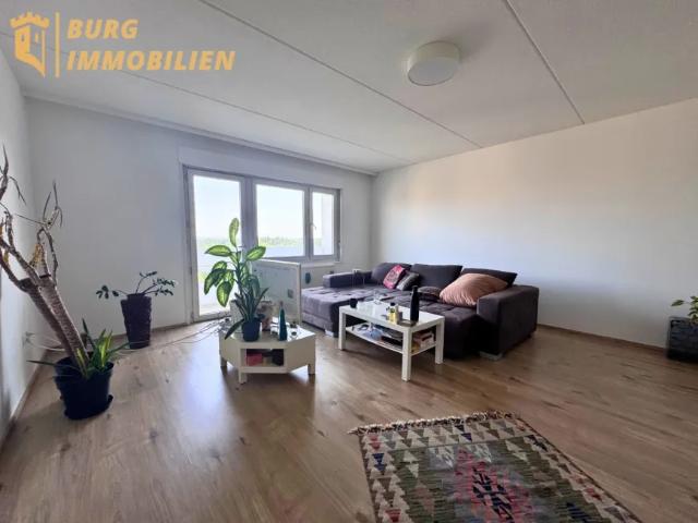 Wohnung kaufen in Katastralgemeinde Traiskirchen, Traiskirchen