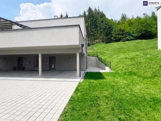 Wohnung kaufen in Weiz, Steiermark