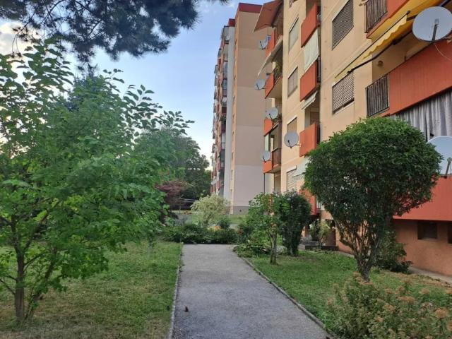 Wohnung kaufen in Weiz, Bezirk Weiz