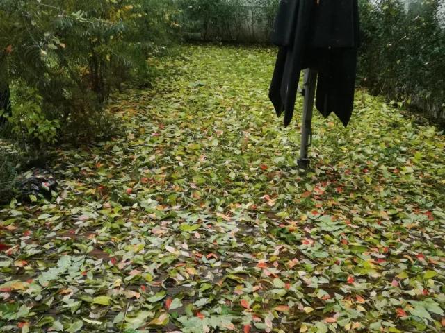 Wohnung kaufen in Wien