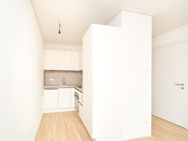 Wohnung kaufen in Wien