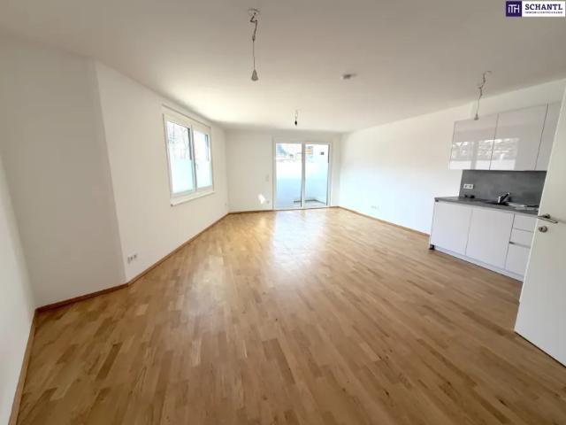 Wohnung kaufen in Donaustadt, Wien