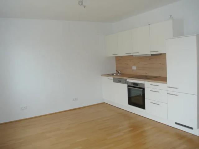 Wohnung kaufen in Seestadt, Wien