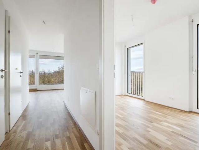Wohnung kaufen in Donaustadt, Wien