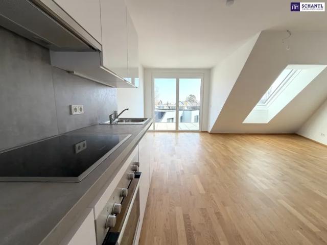 Wohnung kaufen in Donaustadt, Wien