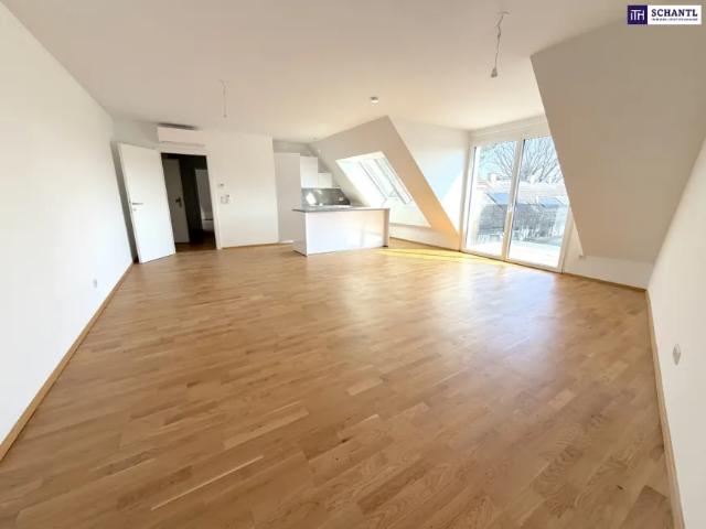 Wohnung kaufen in Donaustadt, Wien