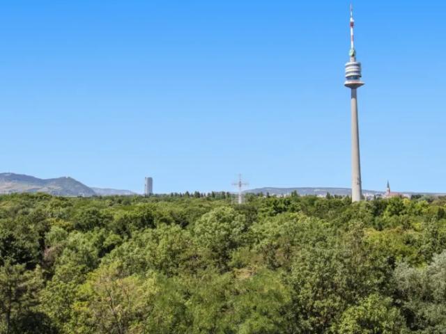 Wohnung kaufen in Donaustadt, Wien