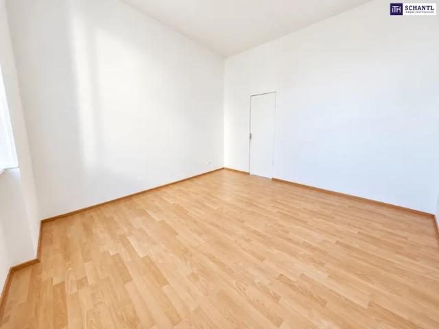 Wohnung kaufen in Seestadt, Wien