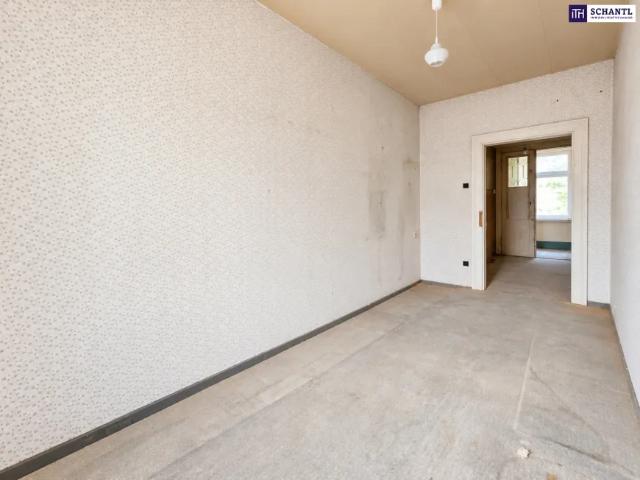 Wohnung kaufen in Seestadt, Wien
