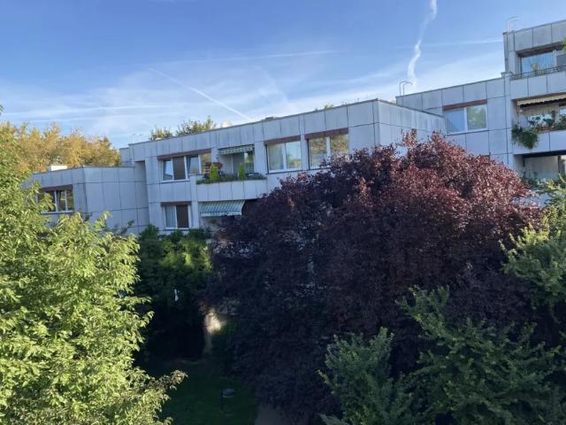 Wohnung kaufen in Wolkersdorf im Weinviertel, Niederösterreich