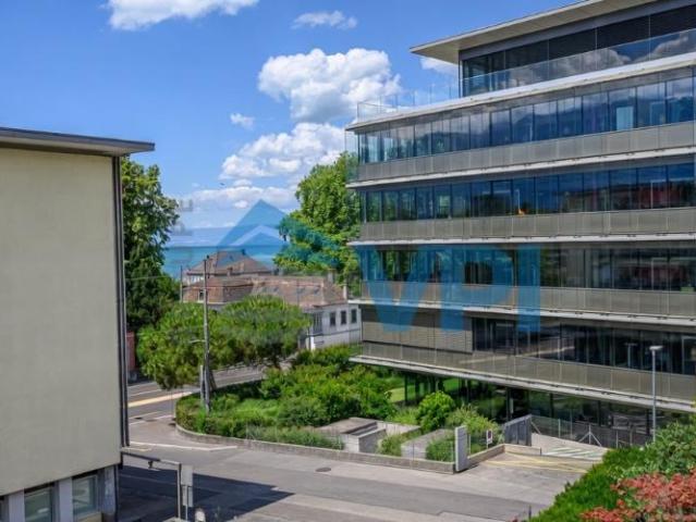 Wohnung kaufen in La Tour-de-Peilz, Waadt