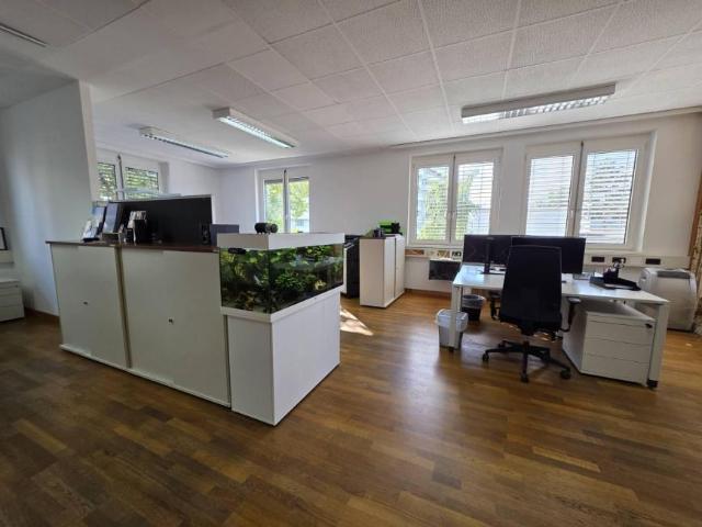 Gewerbe mieten in KG Innere Stadt, Wien
