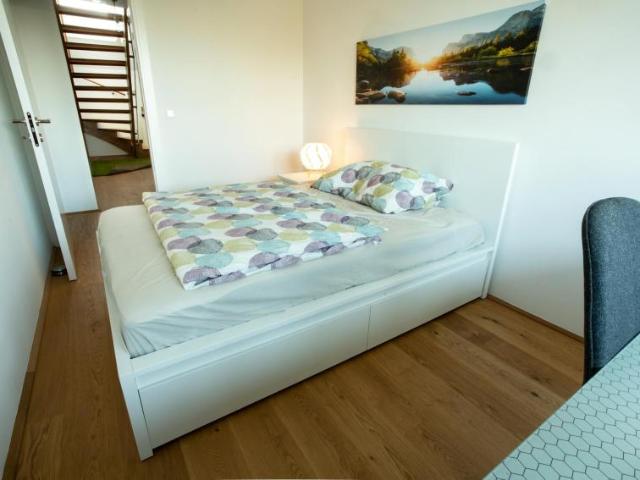 Zimmer mieten in KG Brigittenau, Wien