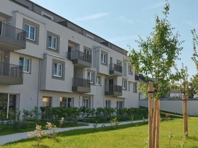 Wohnung mieten in Wels, Oberösterreich