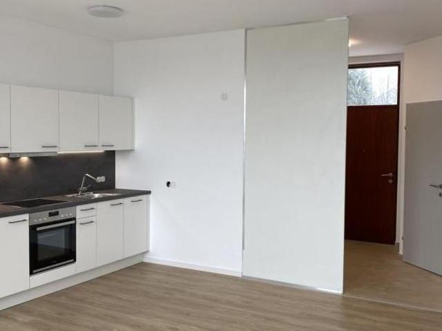 Wohnung mieten in Alm, Regau