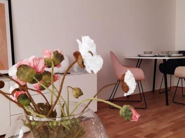 Wohnung mieten in Katastralgemeinde Baierdorf, Graz