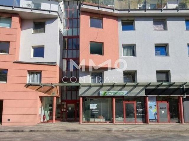 Wohnung mieten in Katastralgemeinde Geidorf, Graz