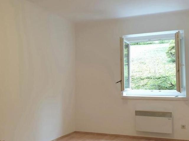 Wohnung mieten in Innere Stadt, Wien