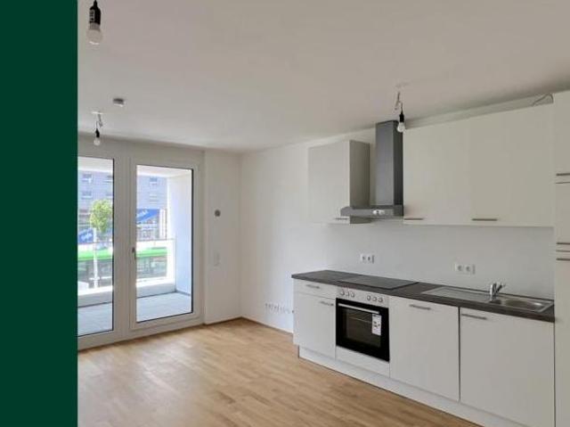 Wohnung mieten in Innere Stadt, Wien