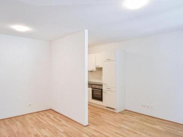 Wohnung mieten in Innere Stadt, Wien