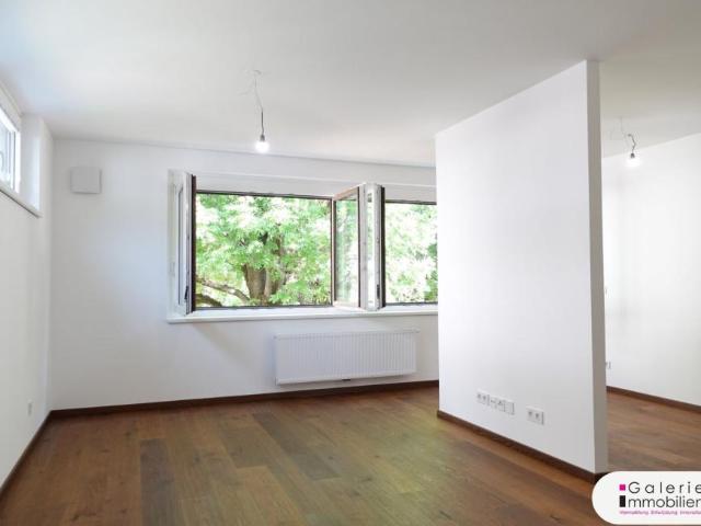 Wohnung mieten in Innere Stadt, Wien