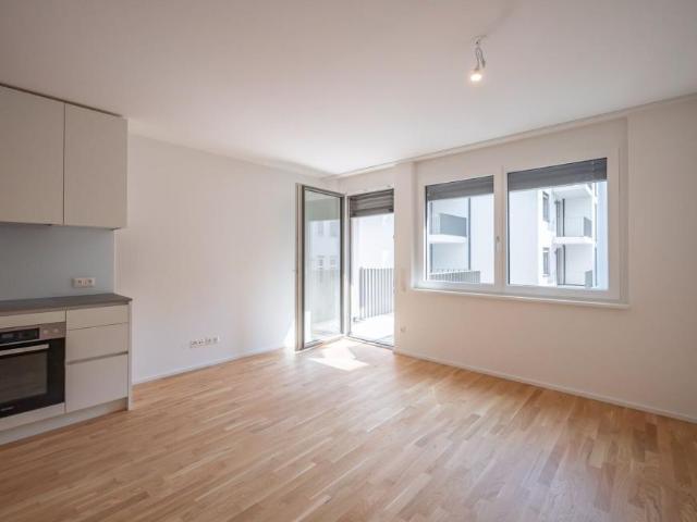 Wohnung mieten in Innere Stadt, Wien
