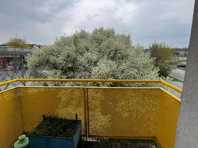 Wohnung mieten in Zistersdorf, Niederösterreich