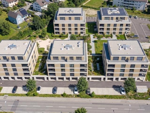 Wohnung mieten in Monthey, Wallis