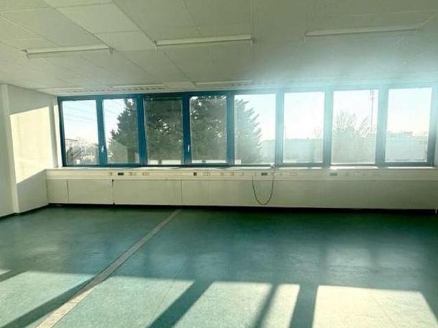Gewerbe mieten in Wiener Neudorf, Niederösterreich