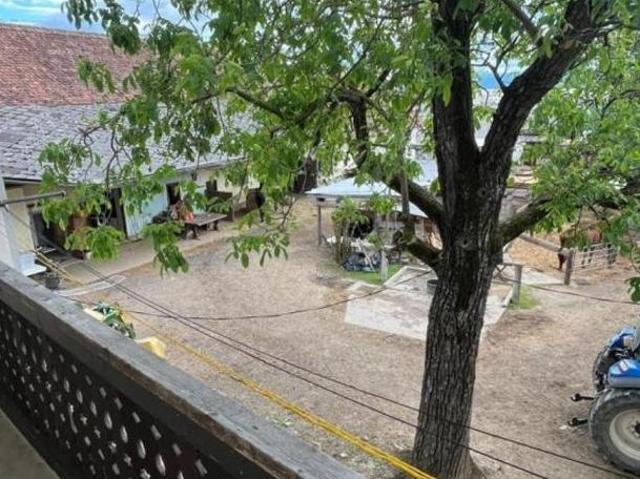 Zimmer mieten in Sankt Peter, Gersdorf-Feistritz