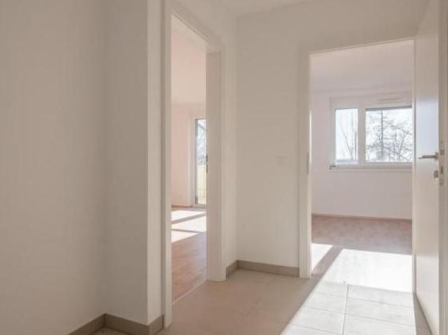 Wohnung mieten in Eisenstadt, Burgenland