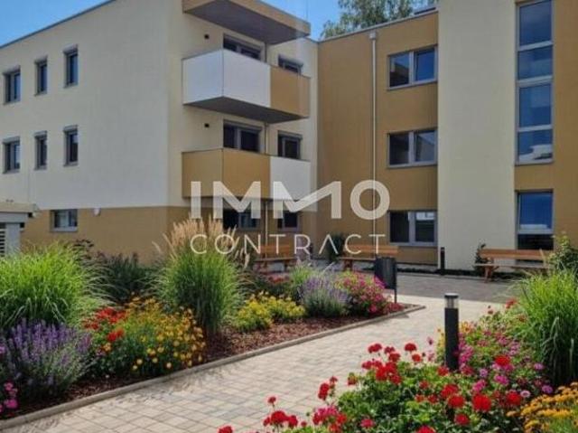 Wohnung mieten in Eisenstadt, Burgenland