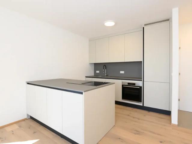 Wohnung mieten in Guntramsdorf, Niederösterreich