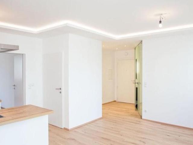 Wohnung mieten in Schwechat, Niederösterreich