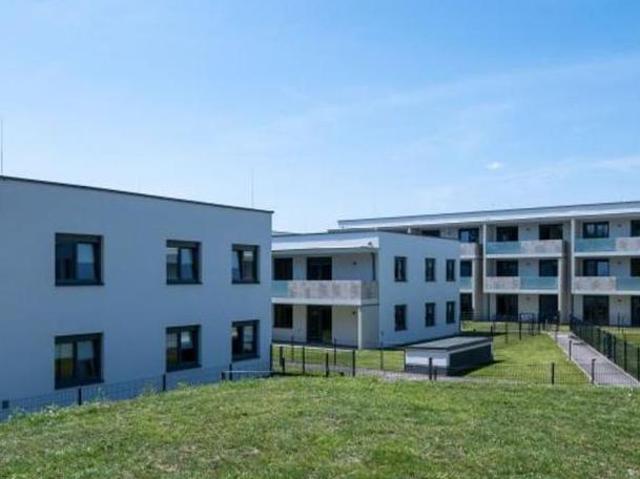 Wohnung mieten in Wiener Neustadt, Niederösterreich