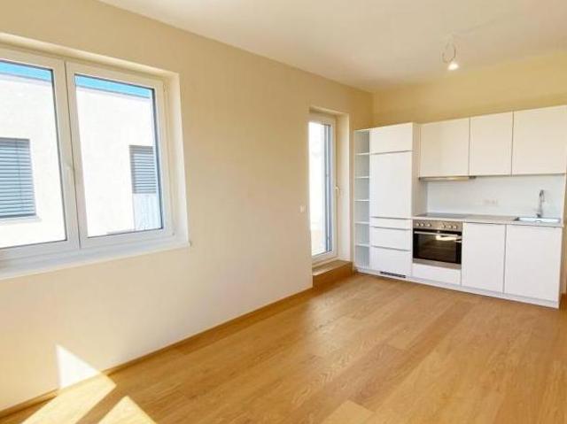 Wohnung mieten in Haslau an der Donau, Niederösterreich