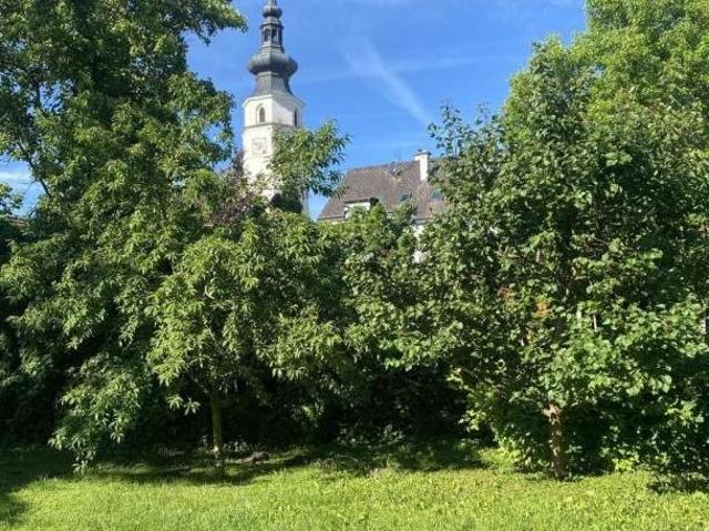 Wohnung mieten in Königstetten, Niederösterreich