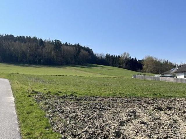 Wohnung mieten in St. Pölten, Niederösterreich