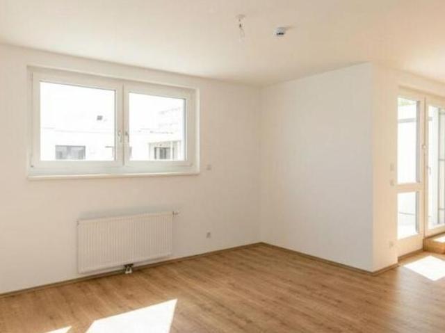 Wohnung mieten in Wiener Neustadt, Niederösterreich