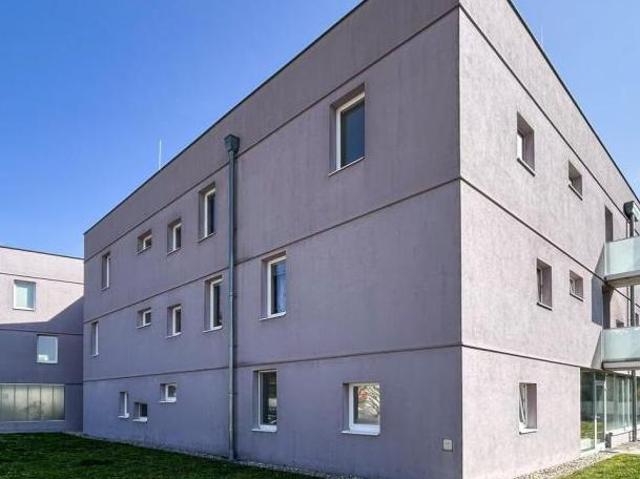 Wohnung mieten in Spillern, Niederösterreich