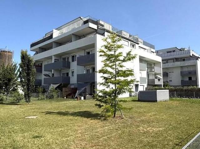 Wohnung mieten in Wiener Neustadt, Niederösterreich