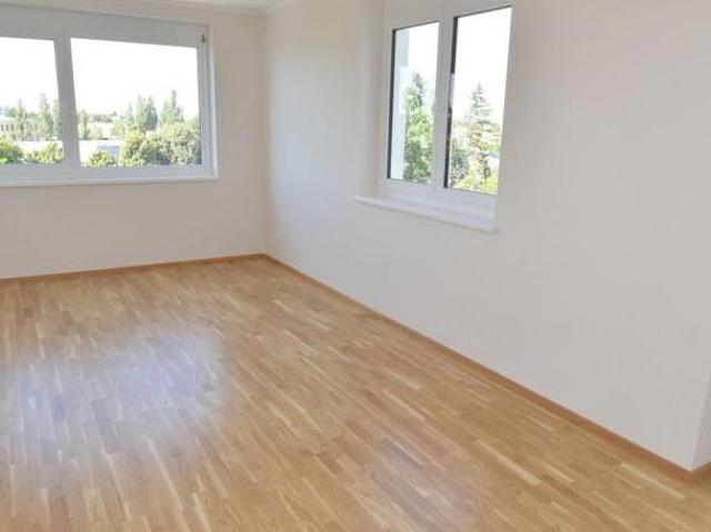 Wohnung mieten in Katastralgemeinde Mannswörth, Schwechat