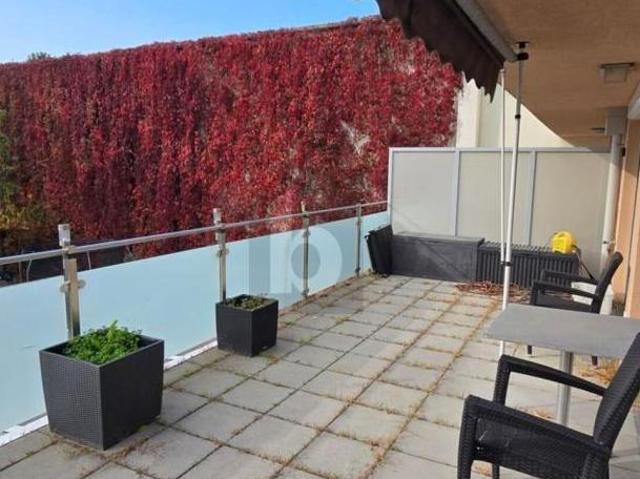 Wohnung mieten in Wiener Neudorf, Bezirk Mödling