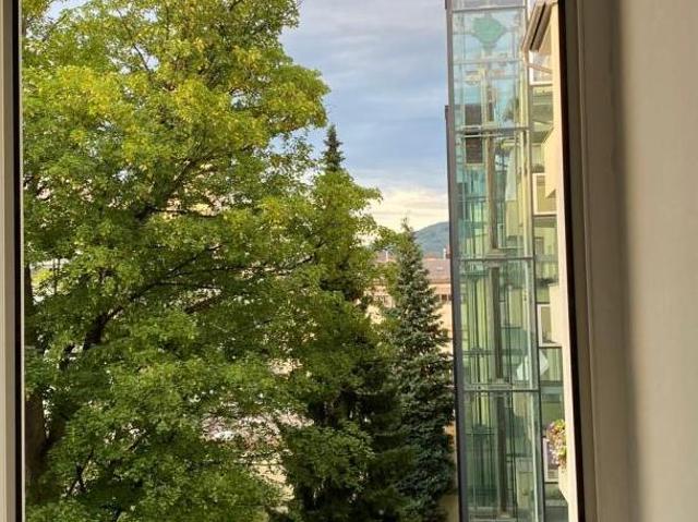 Wohnung mieten in Linz, Oberösterreich