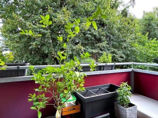 Wohnung mieten in Linz, Oberösterreich