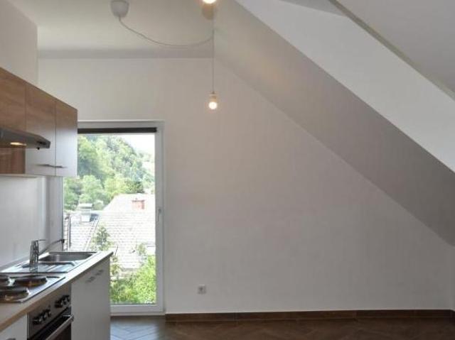 Wohnung mieten in Altstadt, Salzburg