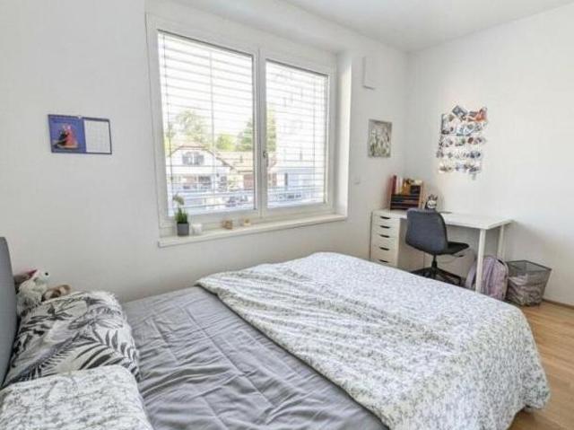 Wohnung mieten in Sankt Peter, Gersdorf-Feistritz