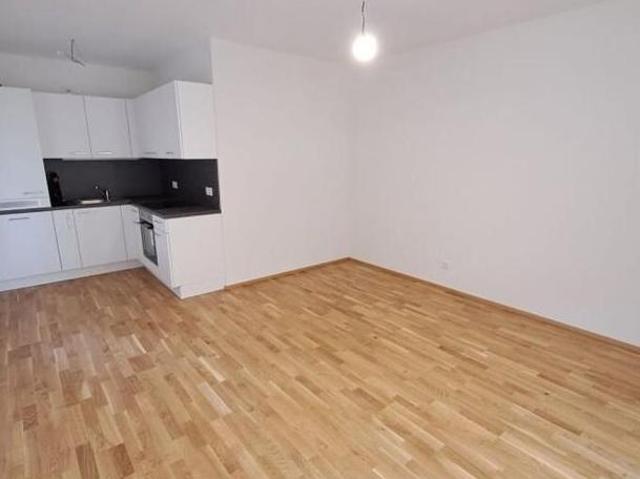 Wohnung mieten in Kleinsulz, Steiermark