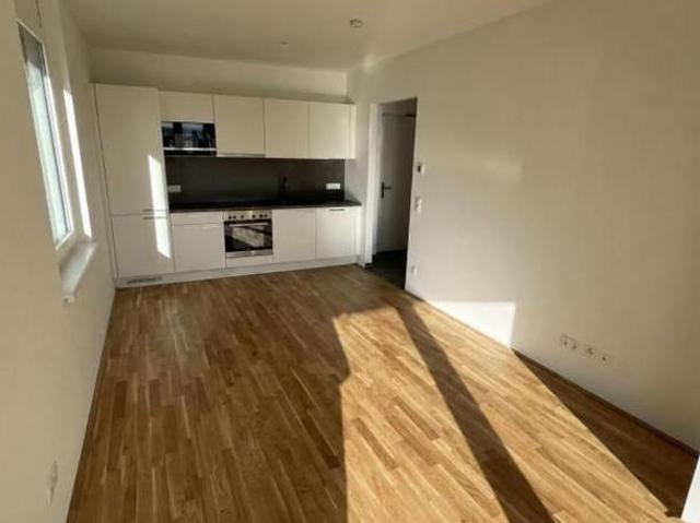Wohnung mieten in Liebenau, Gersdorf-Feistritz